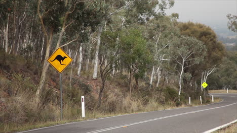 "Watch-out-for-Kangaroos"-wildlife-signage-next-to-a-road-in-Australia