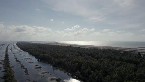 drone-video-over-Divjake-Karavasta-nature-park,-crane-shot-ascending-over-the-grove-with-the-beach-on-the-horizon-at-sunset