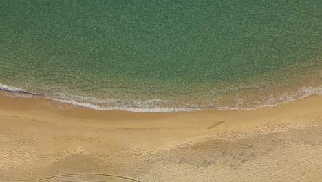 Clear-water-waves-rolling-into-a-golden-sandy-beach-aerial-top-down-view