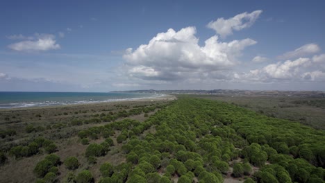 drone-video-over-a-line-of-trees-that-bisects-Spille-beach-on-the-Albanian-coast