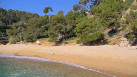 Santa-Cristina-beach-in-Costa-Brava-coastal-region-in-Spain,-beautiful-natural-landscape
