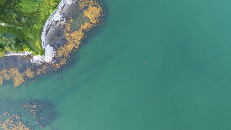 Agua-Azul-Profundo-Y-Costa-Verde-En-La-Bahía-De-Penobscot,-Maine-|-Vista-Aérea-De-Arriba-Hacia-Abajo-|-Verano-2021