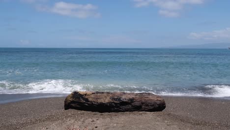 Sea-Waves-Splashing-At-The-Beach-With-Tree-Log-On-Sand