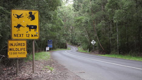 A-car-drives-past-Wildlife-road-signage-in-Victoria,-Australia