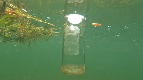View-inside-the-river-of-glass-bottle,-garbage,-and-aquatic-plants-floating-in-the-São-Francisco-River,-in-northeastern-Brazil-in-the-state-of-Pernambuco-in-Brazil