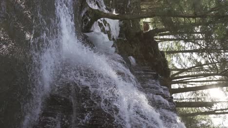 Wasserfall-Im-Wald-In-Zentralpennsylvania,-Winternachmittag---Rosecrans-Falls