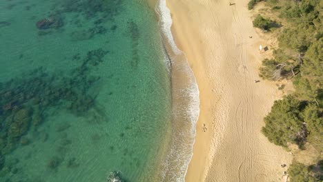 Vogelperspektive-Exotische-Strandlandschaft-Goldener-Sand-Und-Klares-Wasser,-Costa-Brava,-Spanien