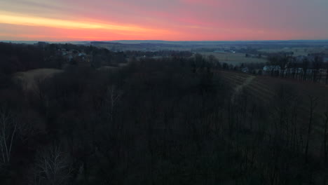 Antenne-über-Dem-Wald-Bei-Sonnenaufgang