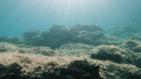 Schwimmen-Unter-Wasser-Zwischen-Zwei-Felsen-In-Einem-Meeresboden-Mit-Fischen-Und-Sonnenstrahlen