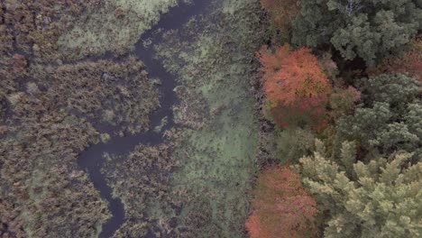 Aerial-view-of-swamp-during-Autumn-in-Vermont,-nature-landscape