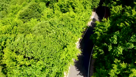 Aerial-view-over-a-road-leading-thru-a-forest-in-Apuseni-Mounains