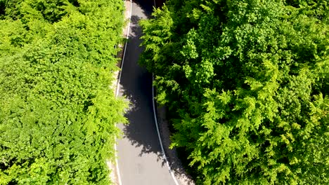 Cars-passing-thru-a-green-forest-mountain-road-in-Apuseni-Mountains