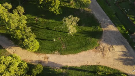 Rotating-aerial-view-of-gardener-strimming-grass-in-park