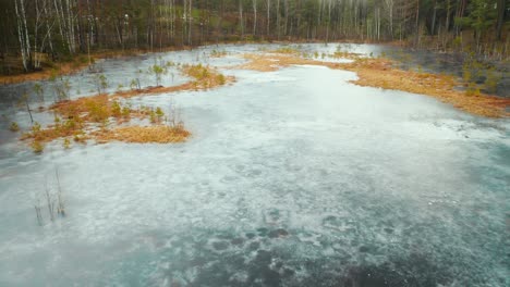 AERIAL:-Frozen-Swamp-in-Desolated-Forest-with-Fauna