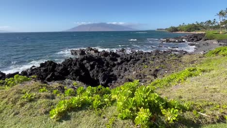 Maui-tropical-landscape,-lava-rocks,-coastal-scenery