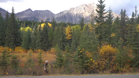 Landschaftsfotografin,-Die-Aus-Dem-Feld-In-Der-Farbenfrohen-Landschaft-Des-Jaspis-Nationalparks-Kanada-Im-Herbstgipfel-Kommt,-Zeitlupe