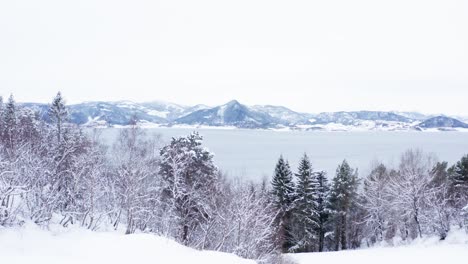 Panoramic-View-of-Snow-Covered-Trees-with-the-Lake-and-Mountains-in-the-Background-in-Indre-Fosen-Norway---Backward-Panning-Aerial-Shot