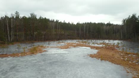 AERIAL:-Frozen-Lake-on-a-Gloomy-and-Cloudy-Day-in-Forest