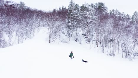 Hiker-And-Dog-Walking-Through-Thick-Winter-Snow-In-The-Forest-In-Indre-Fosen,-Norway---wide-shot