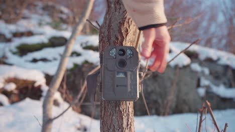 Hand-Closes-Box-Of-A-Cellular-Trail-Camera-On-Tree-Trunk-At-Winter