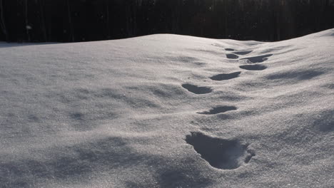 Slow-motion-snow-flakes-falls-on-fresh-footprints