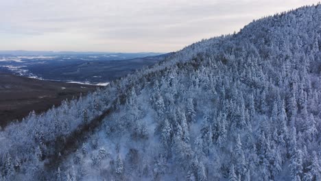 Matorral-Denso-Con-árboles-De-Coníferas-Cargados-De-Nieve-En-Las-Montañas-Invernales-Del-Este-De-Quebec,-Canadá