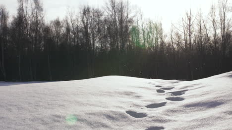 Panorama-Of-Footsteps-In-Snow-as-glittering-crystal-snow-flakes-fall-in-slow-motion