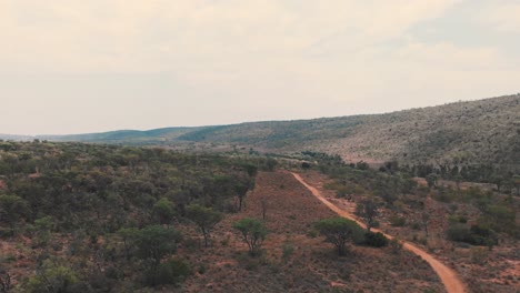 Dirt-road-in-african-savannah-valley-with-acacia-trees,-drone-shot