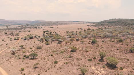 Dry-african-savannah-bush-with-trees-and-dirt-road,-drone-shot