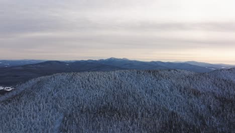 Fly-Over-Dense-Thicket-In-White-Frosted-Forest-Mountains-In-Eastern-Quebec,-Canada