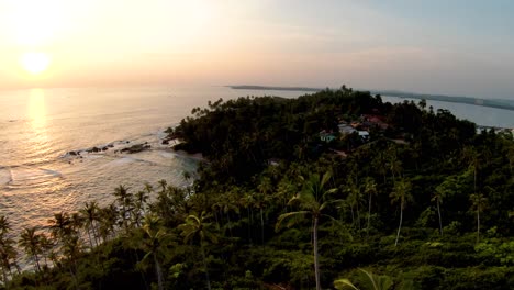 Aerial-dolly-in-flying-over-palm-trees-in-dense-green-rainforest-coast,-sea-in-background-at-sunset,-Mirissa-beach,-Sri-Lanka