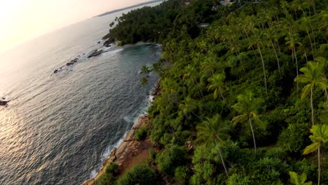 Aerial-dolly-in-flying-over-sea-and-palm-trees-in-dense-green-rainforest,-Mirissa-beach-coast-at-golden-hour,-Sri-Lanka