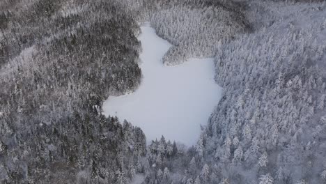 Luftpanorama-Des-Zugefrorenen-Sees,-Umgeben-Von-Dichtem-Wald-Im-Winter