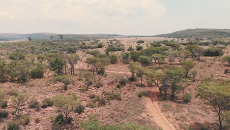 Dirt-road-in-african-savannah-with-acacia-trees-and-shrubs,-drone-shot