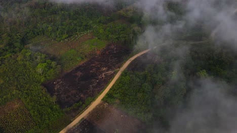 Aerial:-jungle-rainforest-deforestation,-burnt-land-for-logging-and-farming