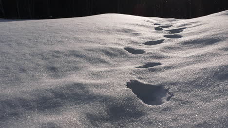 Amazing-crisp-footprints-of-Santa-Claus,-Christmas-snow-falling-in-slow-motion