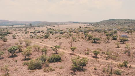 Dry-african-savannah-with-trees-and-dirt-road,-zooming-drone-shot