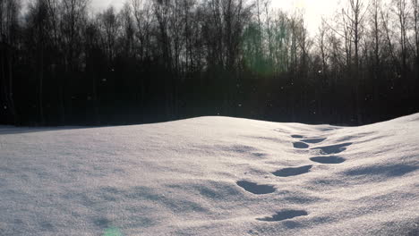 Schneeflocken-Fallen-über-Spuren,-Die-Auf-Der-Schneedecke-Hinterlassen-Wurden