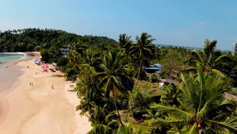 Flying-High-Above-Palm-Trees-Near-Residential-Area-On-Golden-Sand-Beach,-Sri-Lanka