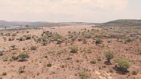 Drone-shot-of-african-savannah-with-scarce-vegetation,-Kololo-reserve