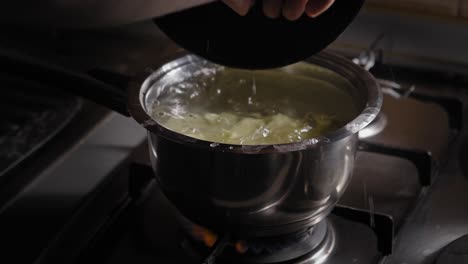 Person-Adding-Potatoes-to-a-Pot-of-Boiling-Water---Steady-Shot