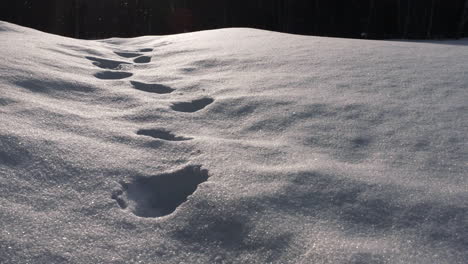 Static-view-of-a-cold-snow-crystallized-white-blanket-with-footprints