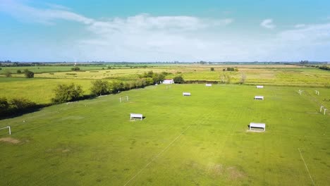 Leere-Fußballfelder-Mit-Grünem-Gras