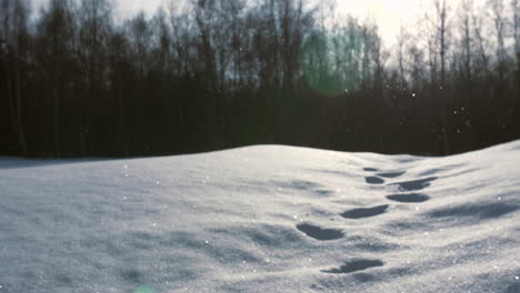 Snow-falls-on-sparkling-snow-covered-ground-with-footprints