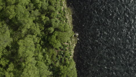 AERIAL---Birch-trees-and-Fnjoska-river,-Vaglaskogur-Forest,-Iceland,-top-down-truck-right