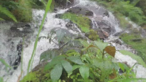 creek-filmed-very-very-close