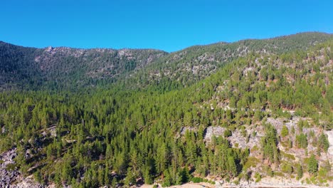 Cars-Driving-Through-Thick-Pine-Tree-Woods-or-Forest-in-the-Mountains-of-Lake-Tahoe-In-The-Sierra-Nevada-Hills-with-Lush-Vegetation---aerial-drone-shot