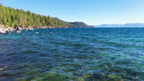 Waves-Peacefully-Rippling-on-Crystal-Clear-Water-with-the-Rip-Rap-Shoreline-Of-Lake-Tahoe-In-The-Sierra-Nevada-Mountains-with-Rock-Boulders-and-Pine-Tree-Forest---wide-shot