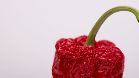 Top-part-of-wrinkled-vibrant-red-paprika-with-green-stem-rotating-showing-intricate-detail-and-texture-of-withering-old-skin-of-overripe-vegetable
