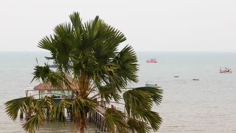 Eine-Palme-Mit-Einem-Pier-Und-Thailändischen-Fischereifahrzeugen-Im-Hintergrund,-Die-Vor-Der-Küste-Von-Pattaya-In-Thailand-Aufs-Meer-Hinausfahren